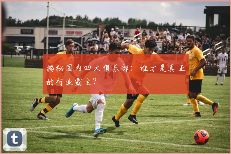 揭秘国内四大俱乐部：谁才是真正的行业霸主？