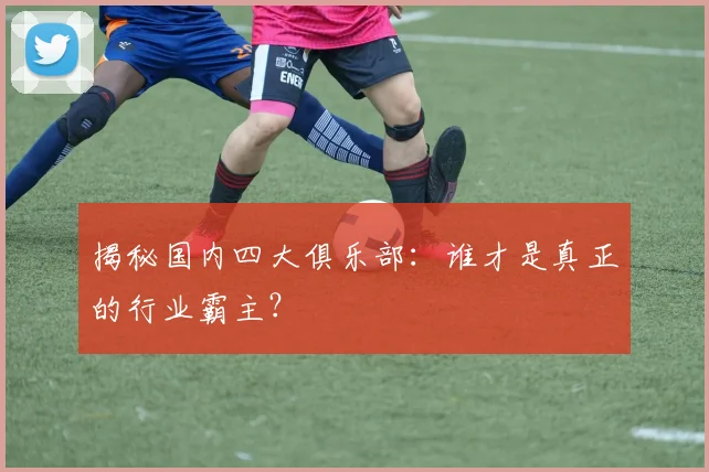 揭秘国内四大俱乐部：谁才是真正的行业霸主？