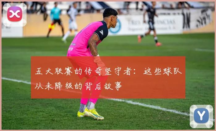 五大联赛的传奇坚守者：这些球队从未降级的背后故事
